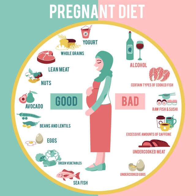 Trimester wise best diet plan to follow for a pregnant women.