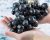 Black Grapes Boost Health