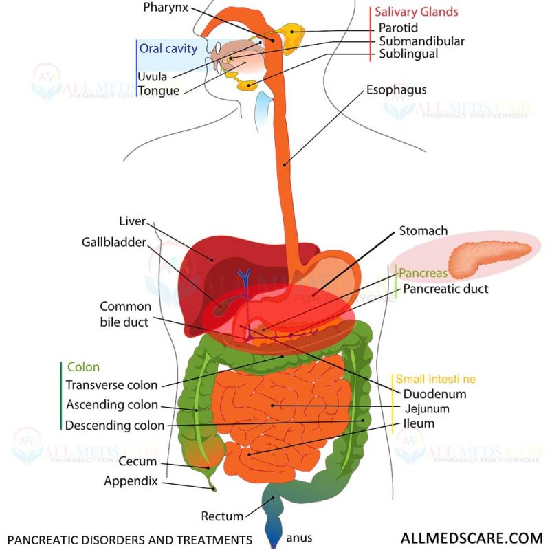 Pancreatic Disorders and treatments