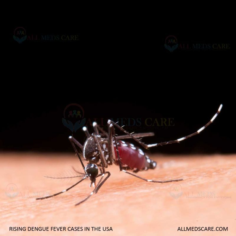 Rising Dengue Fever Cases