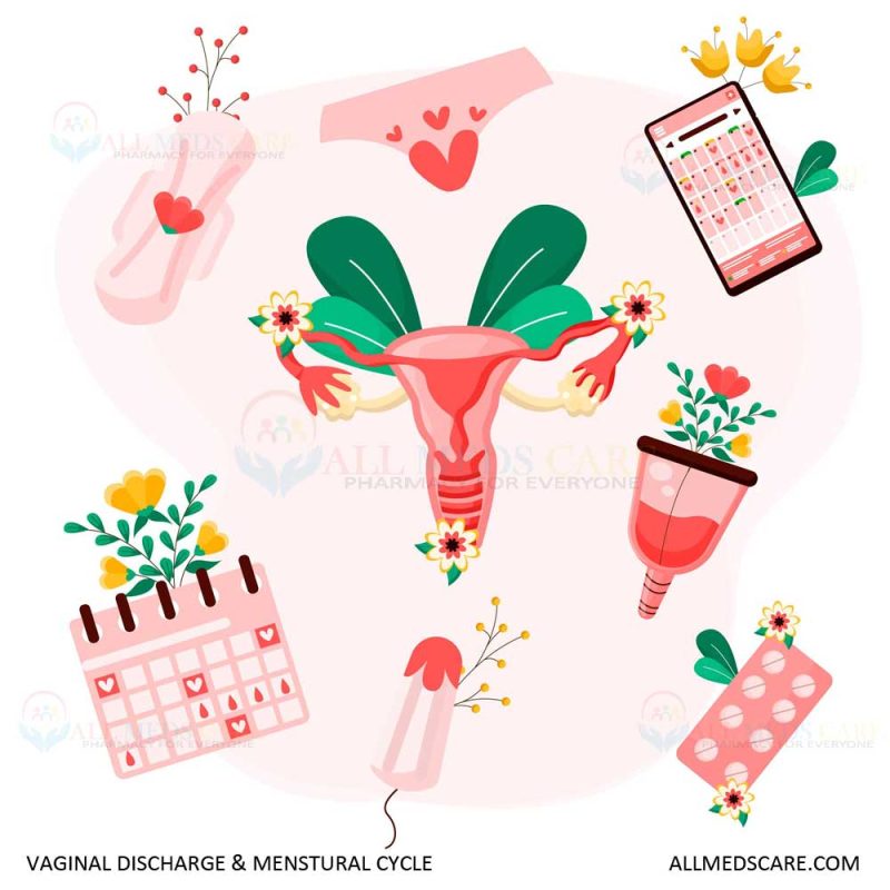 vaginal discharge menstrual cycle