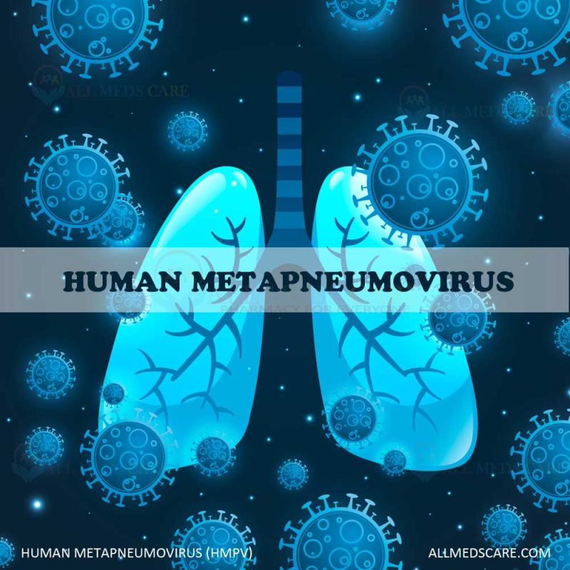 human metapneumovirus